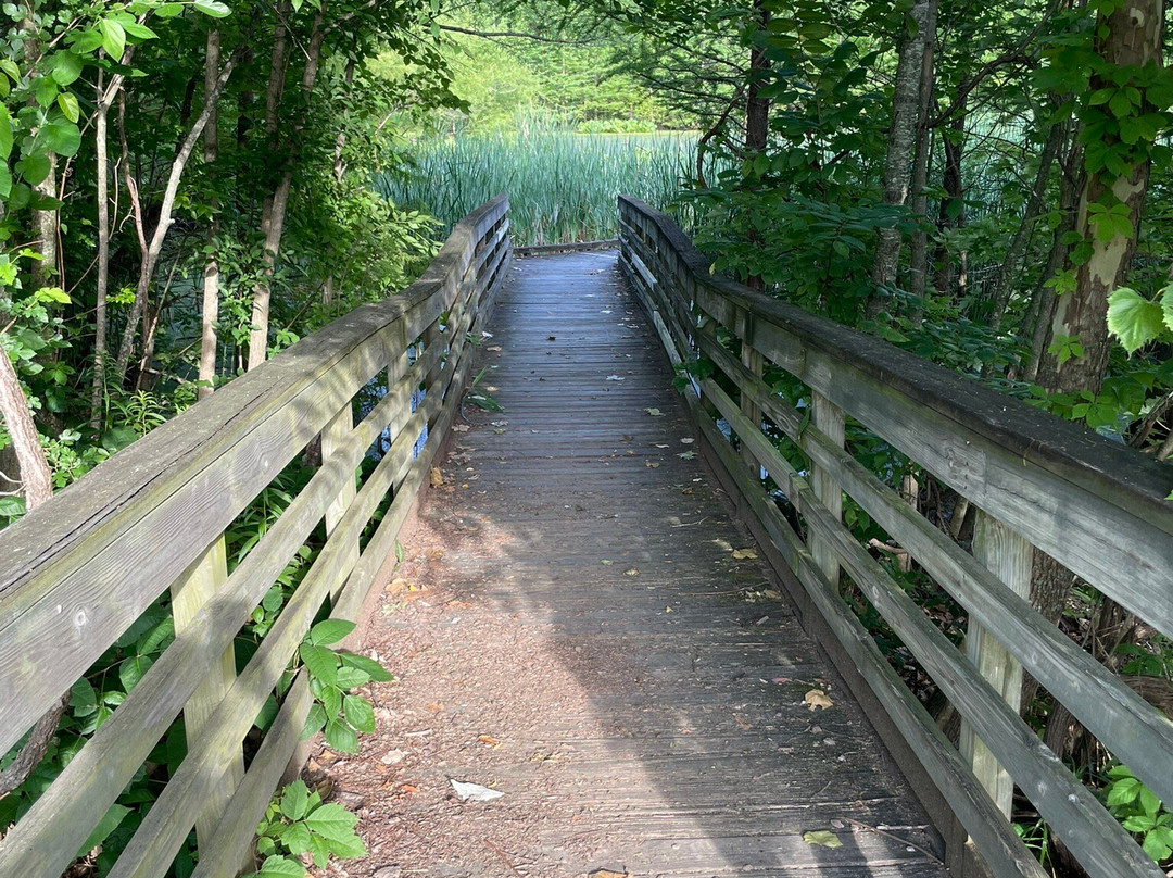 Howell Wetlands-埃文斯维尔必去景点