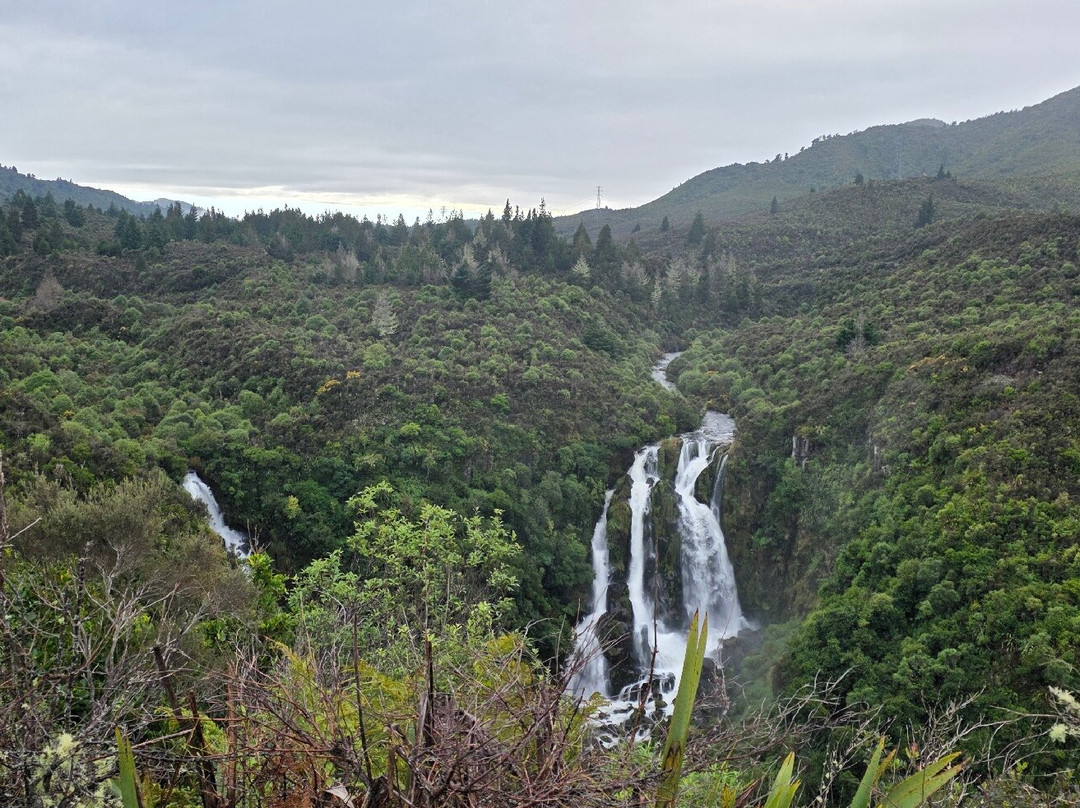 Waipunga Falls-怀卡托地区必去景点