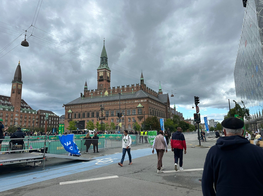 Copenhagen City Hall-哥本哈根必去景点