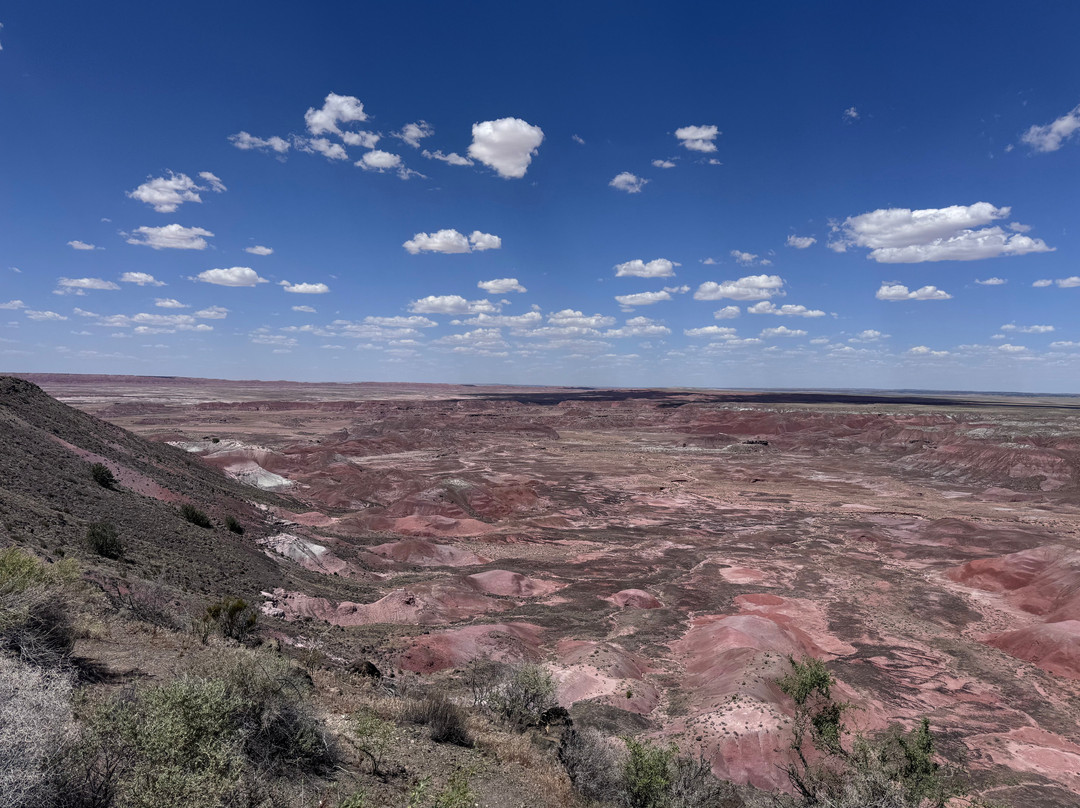 Painted Desert-石化林国家公园必去景点