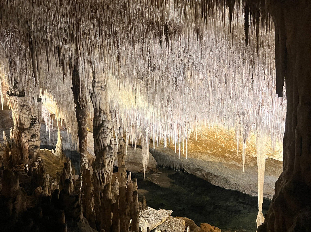 Cuevas del Drach-克里斯托港必去景点