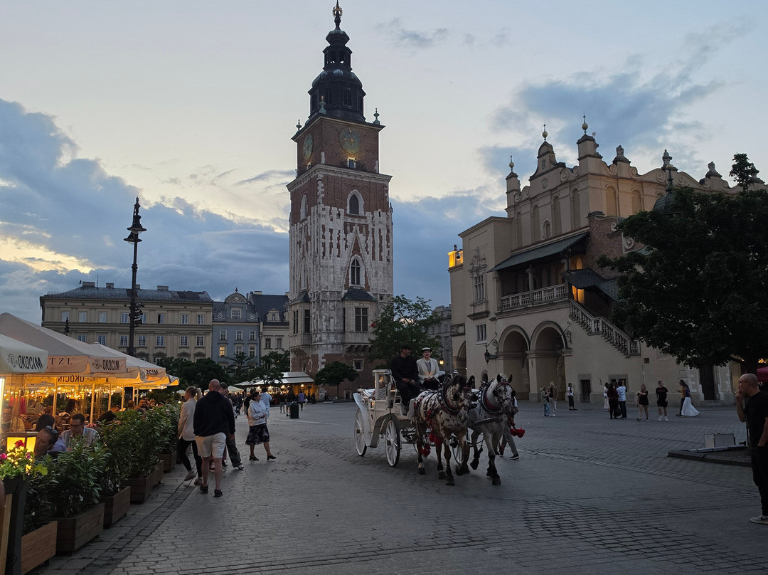 GFP Travel - Day Tours in Poland-Toszek必去景点