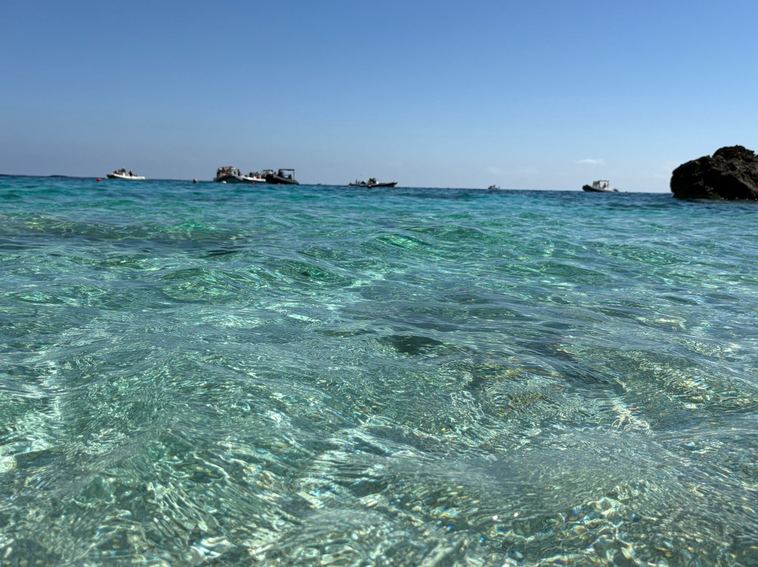 Blue Driving - Noleggio Gommoni ed escursioni nel Golfo di Orosei-奥罗塞必去景点