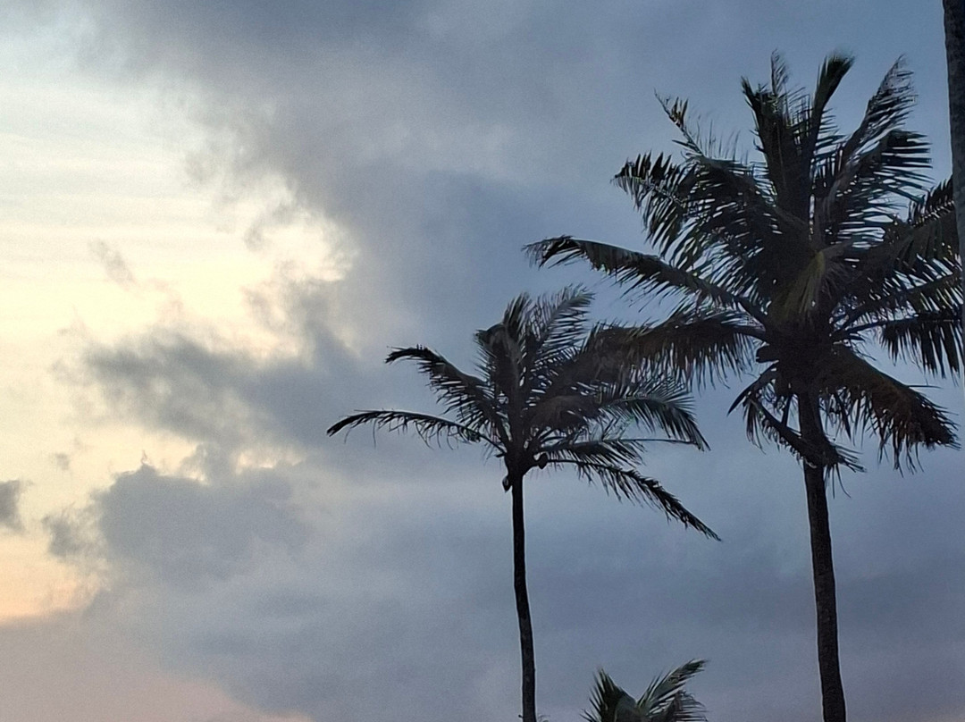 Coconut Tree Hill-美蕊沙必去景点