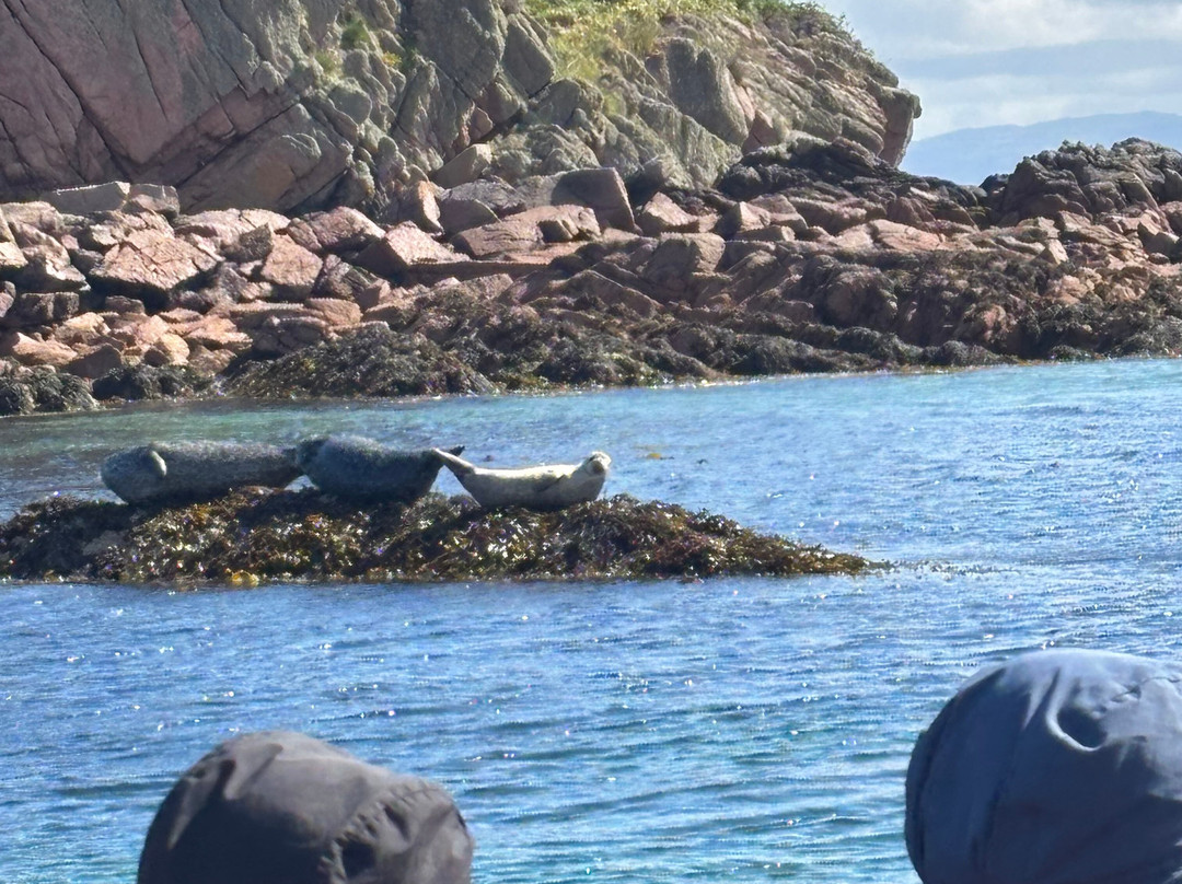 Staffa Trips-Isle of Iona必去景点