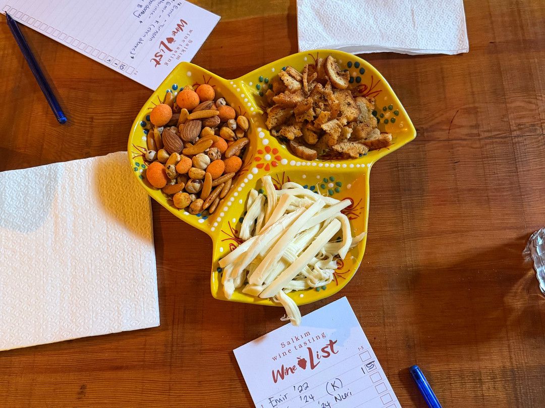 Salkim Sarap Evi (Wine tasting Tour)-阿瓦诺斯必去景点