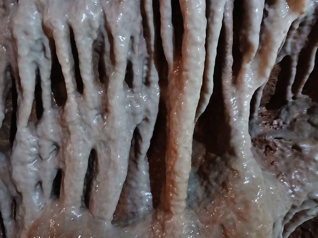 Cheddar Gorge & Caves-Cheddar必去景点