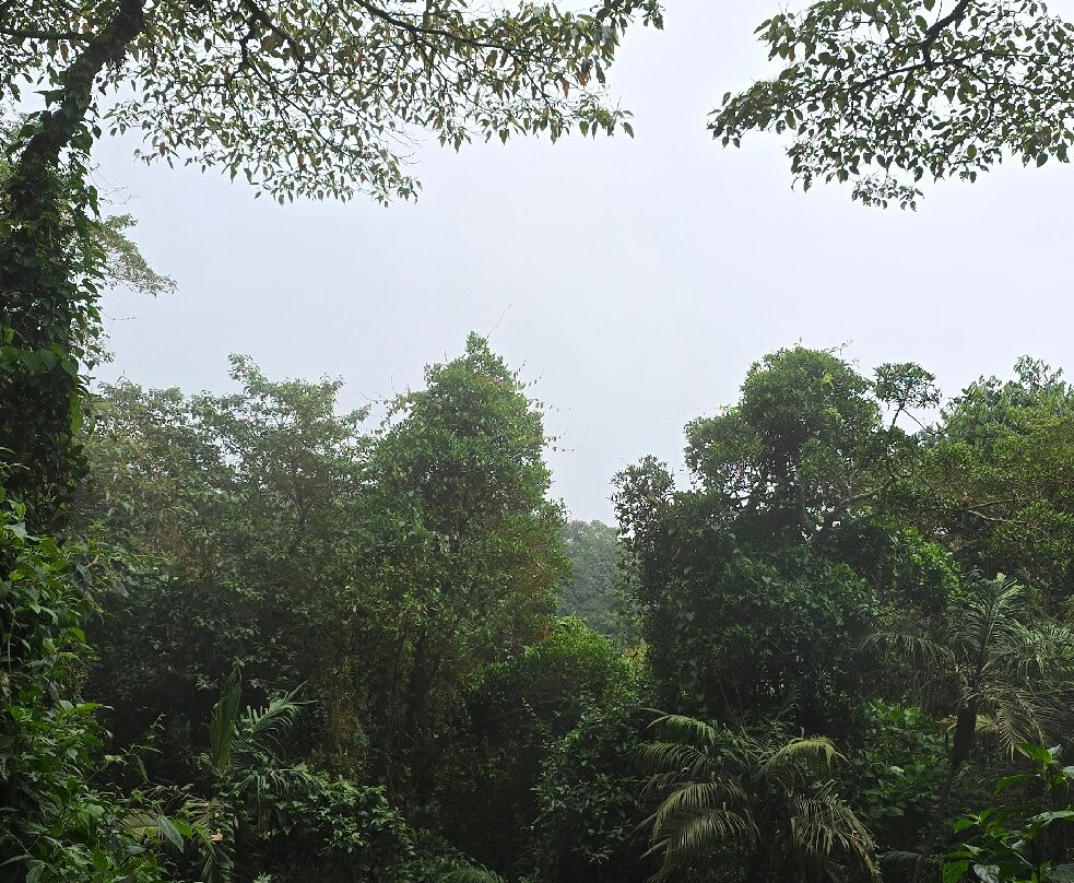 Parque Natural Chicaque-Chicaque必去景点