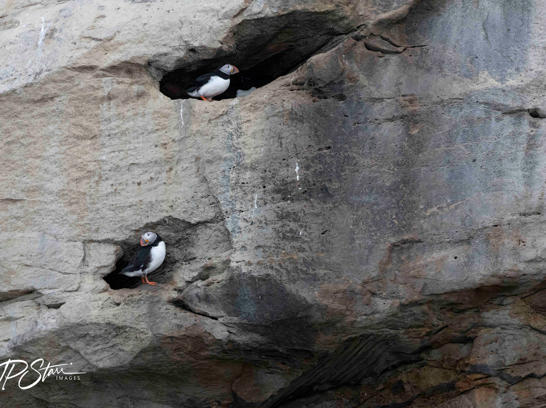 Bird Island Boat Tour-Big Bras d'Or必去景点