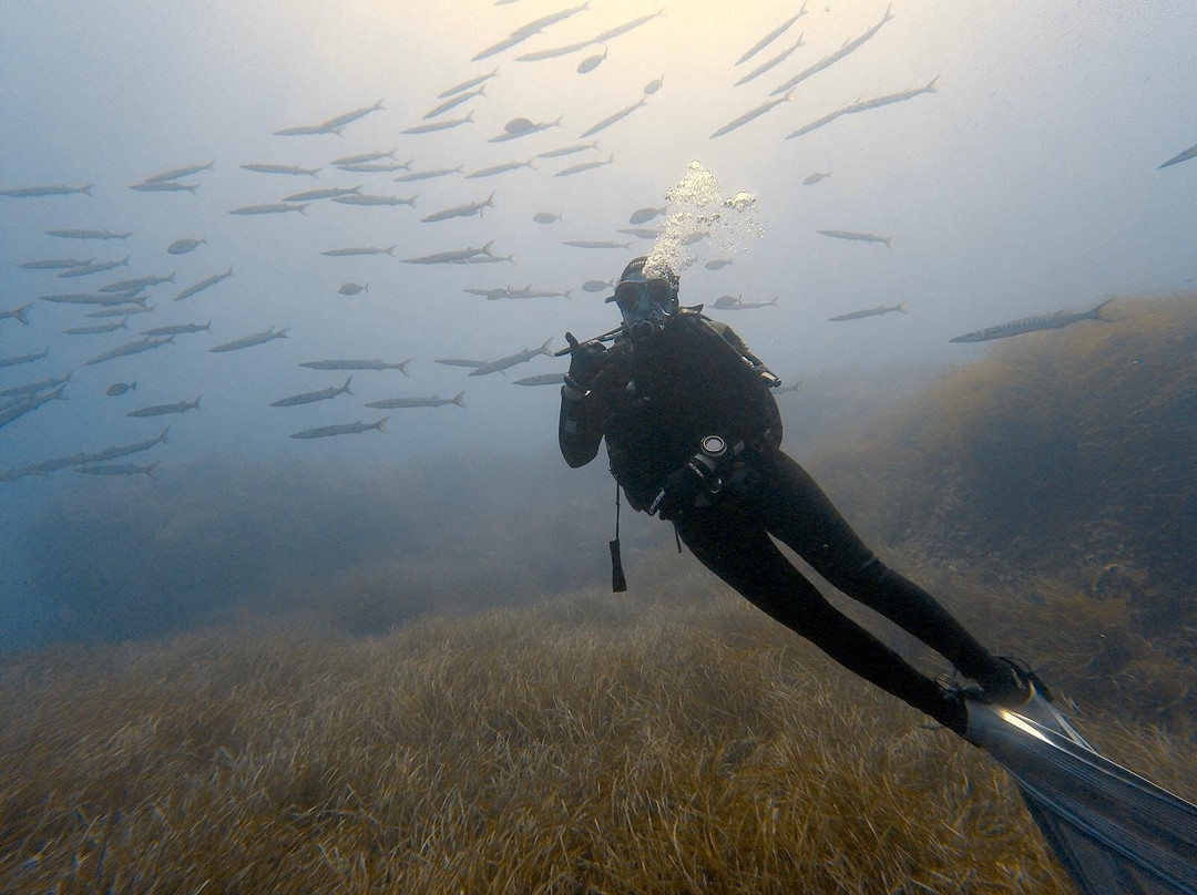 Elba Diving-Marciana Marina必去景点
