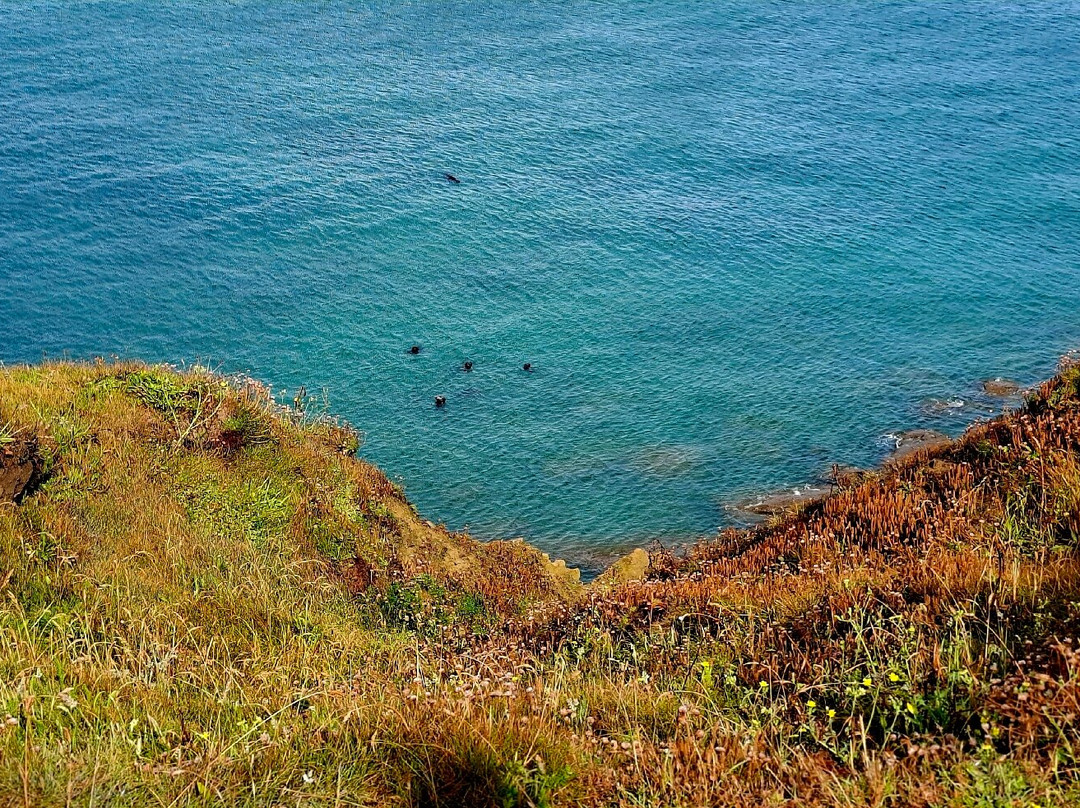 Cap Gris-Nez-Audinghen必去景点