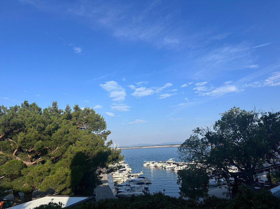 加利亚住宿加早餐旅馆主图