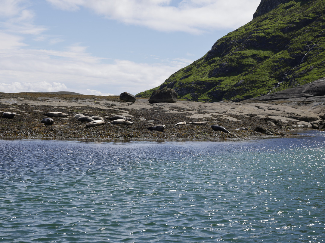 Misty Isle Boat Trips-Elgol必去景点