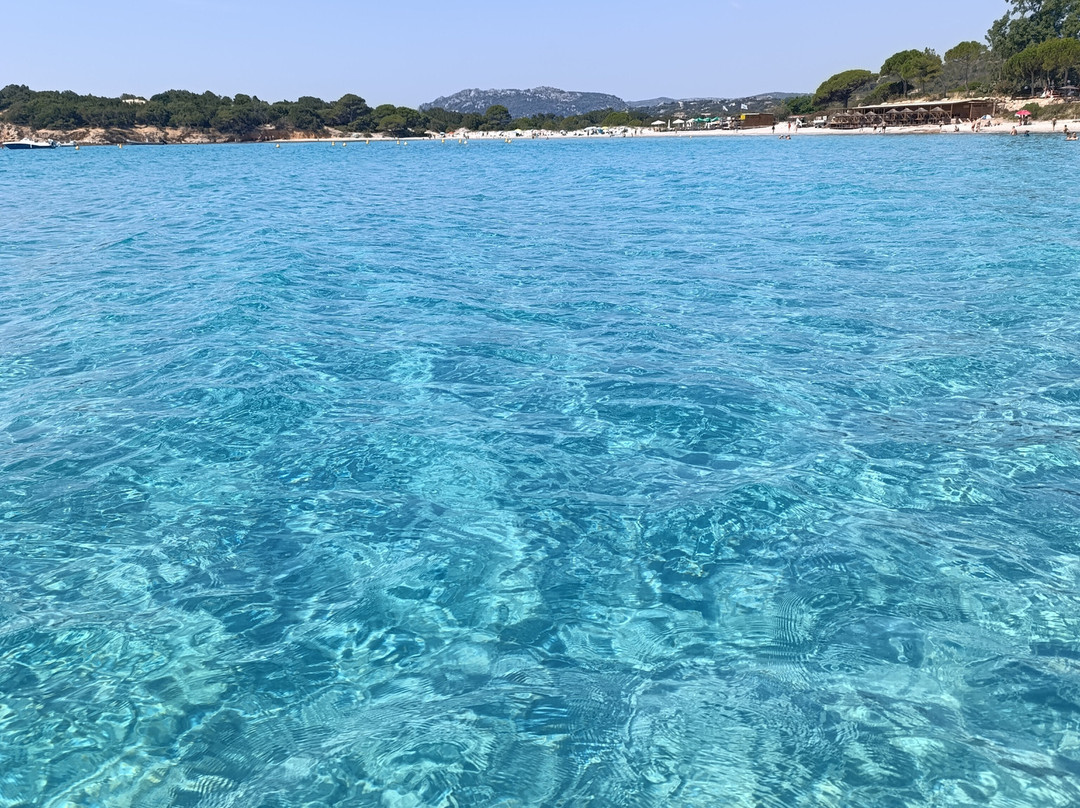 Plage de Tamaricciu-维琪奥港必去景点