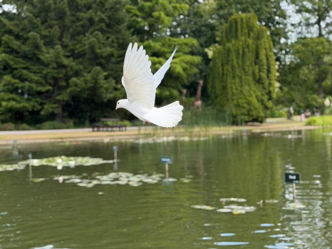 Burnby Hall Gardens and Museum-Pocklington必去景点