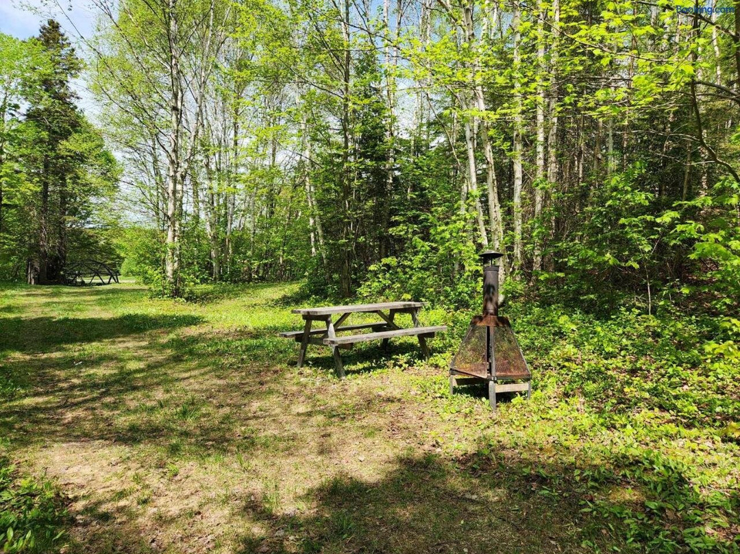 Terrain De Camping