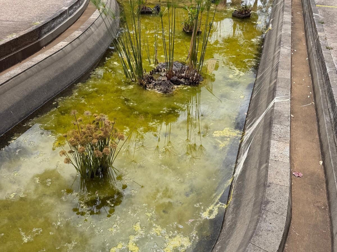 Madeira Botanical Garden-沙尔必去景点