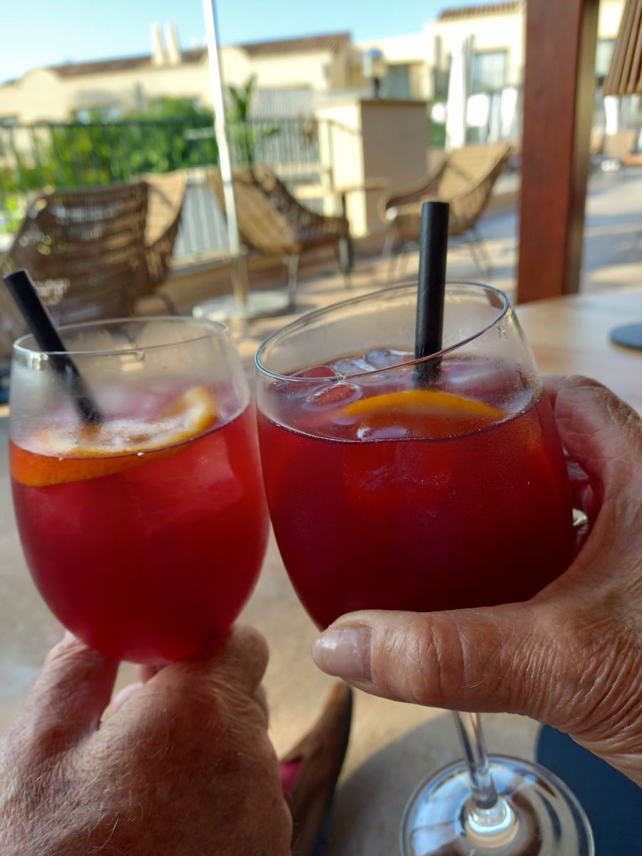 瓦丽斯达梦瑞卡酒店-限成人-旅行者