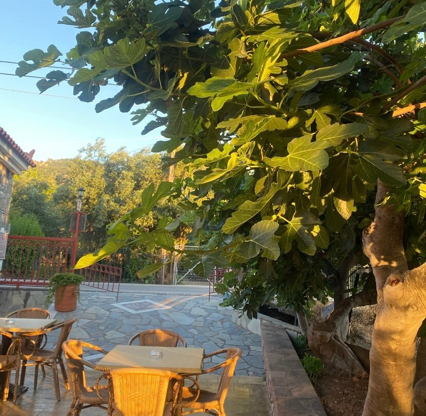 Christina's Garden主图