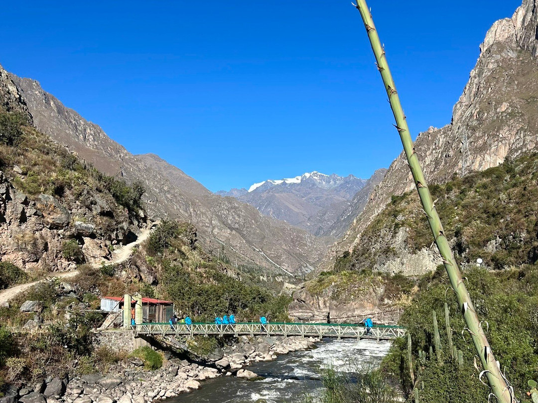 Alpaca Expeditions-库斯科必去景点