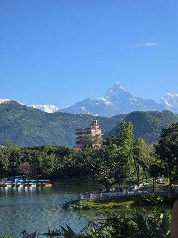 鱼尾度假屋-Annapurna集团-旅行者