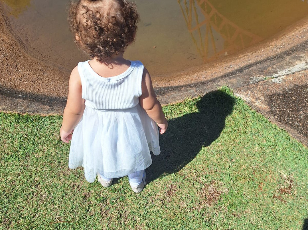 Jardim Botânico de Brasília-巴西利亚必去景点