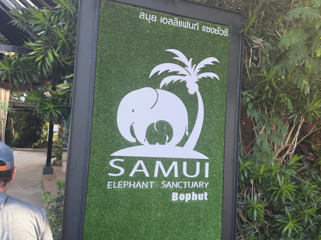 Samui Elephant Sanctuary-波普特必去景点