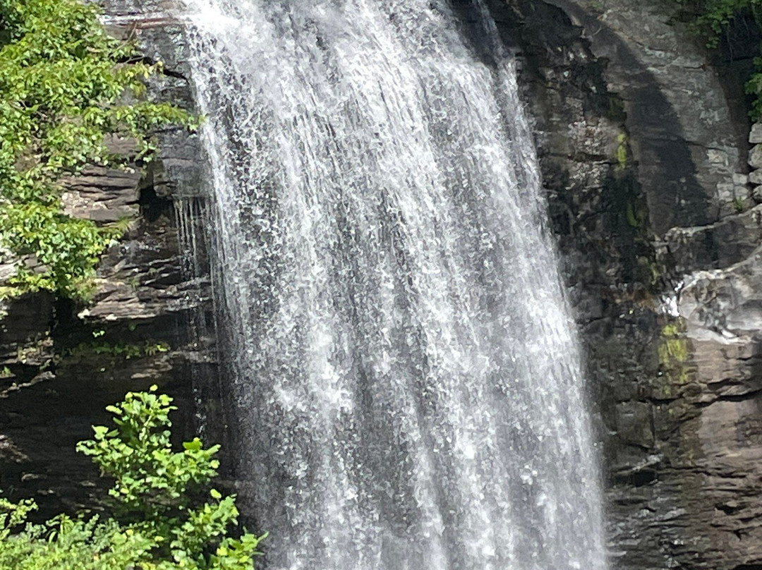 Looking Glass Falls-Pisgah Forest必去景点