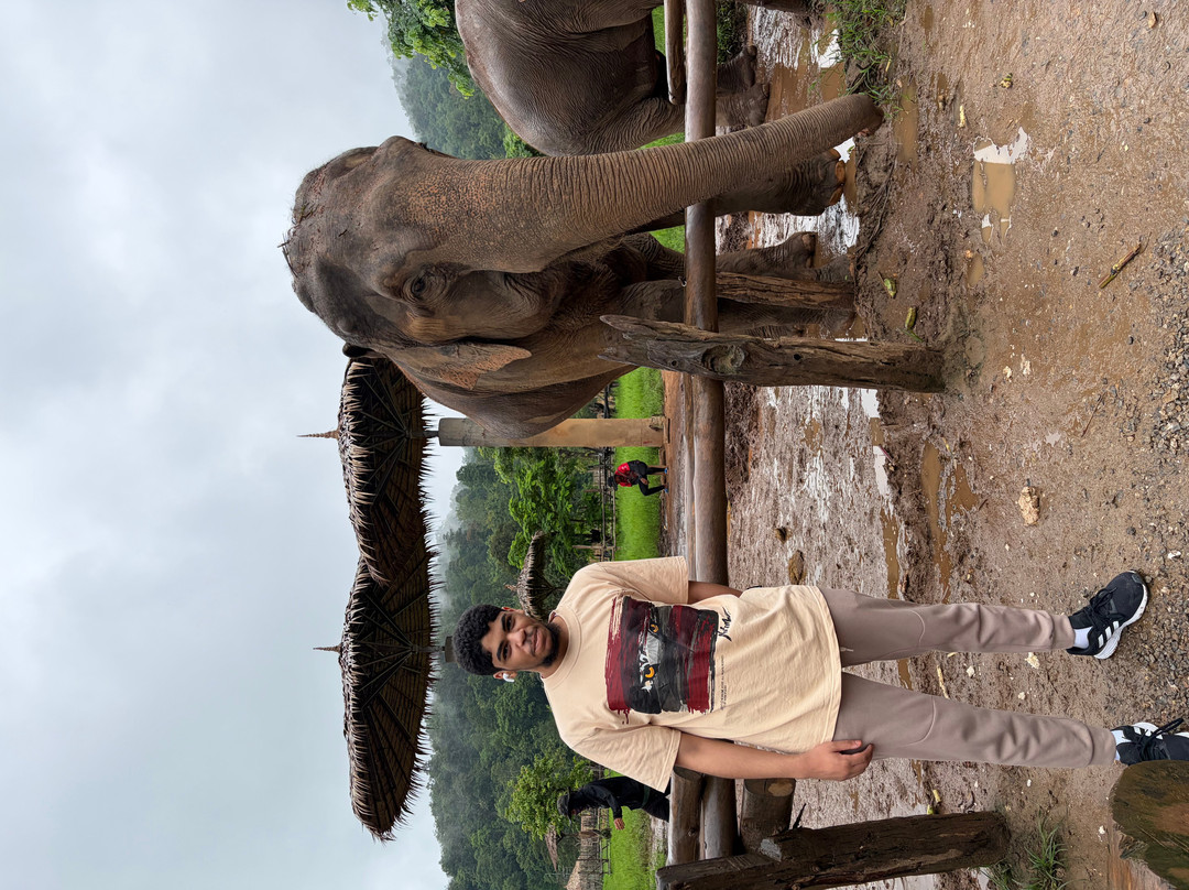 Tee Chiangmai Private Tour-清迈必去景点