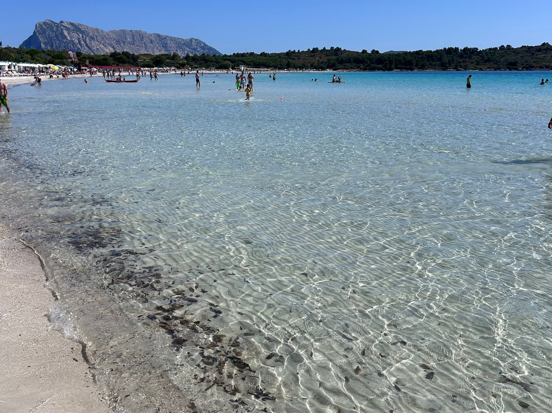 Cala Brandinchi-Capo Coda Cavallo必去景点