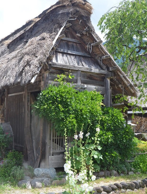 Shirakawago-白川村必去景点