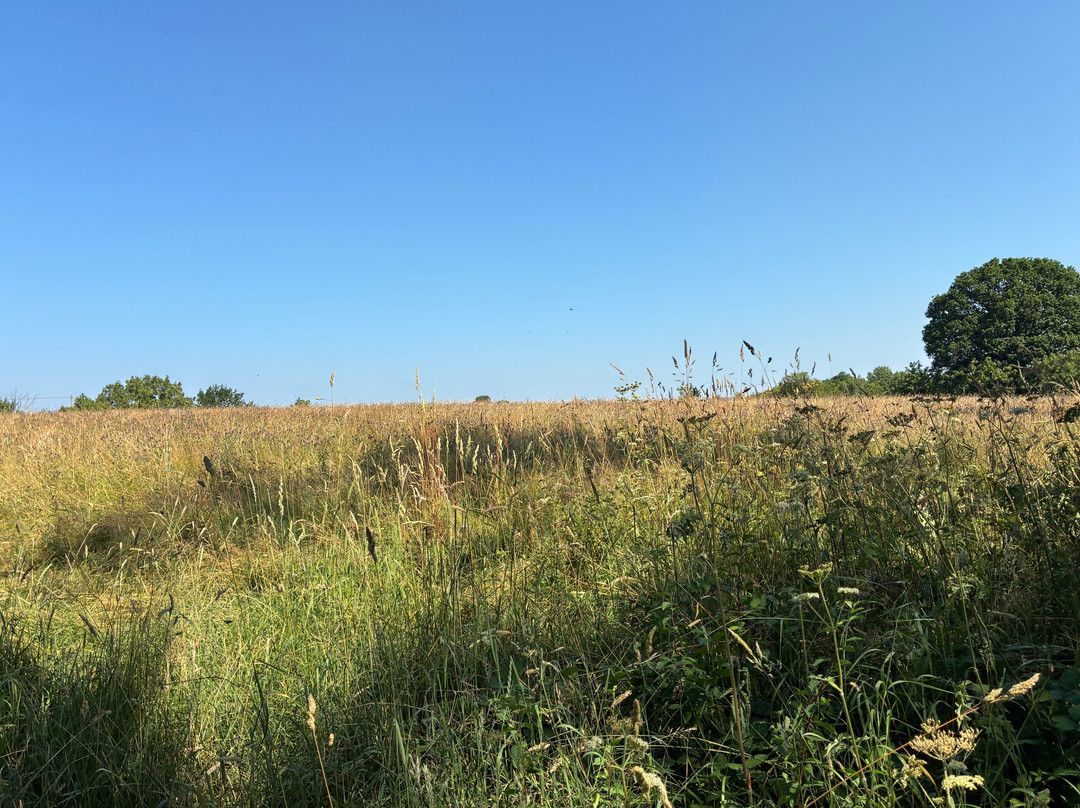 Ty Brith Nature Reserve-Llansantffraid-ym-Mechain必去景点