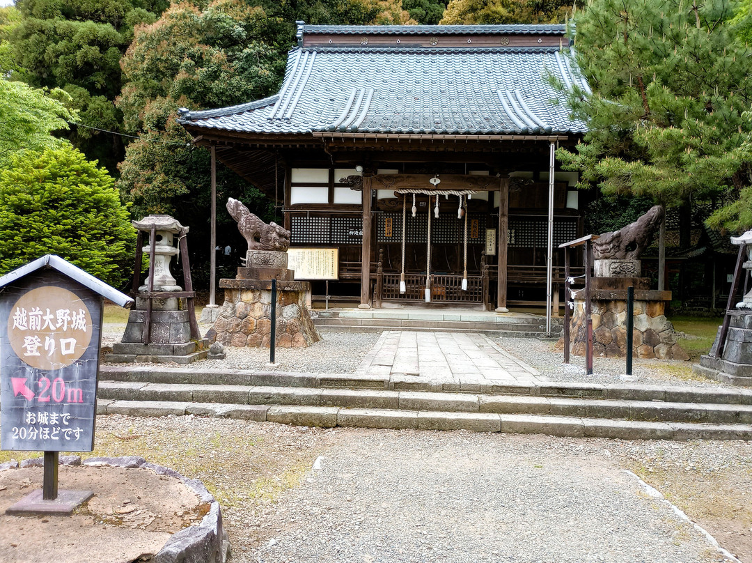 Yanaginoyashiro Shrine-大野市必去景点