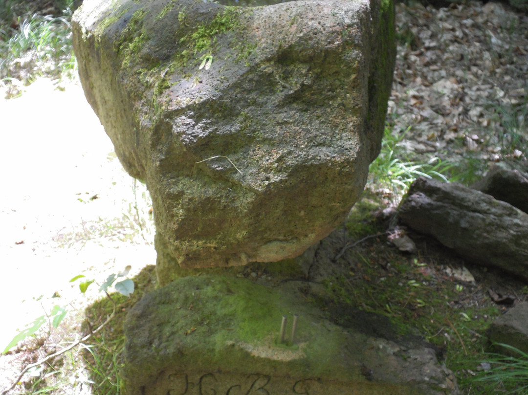 Porphyrlehrpfad Rochlitzer Berg-Rochlitz必去景点