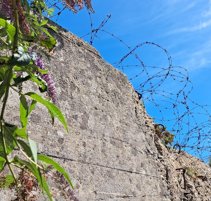 Pointe du Hoc-Cricqueville-en-Bessin必去景点