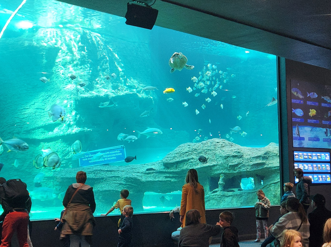 Two Oceans Aquarium-开普敦中心区必去景点