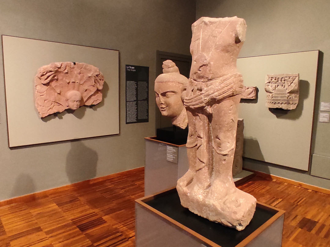 MAO - Museo d'Arte Orientale-都灵必去景点