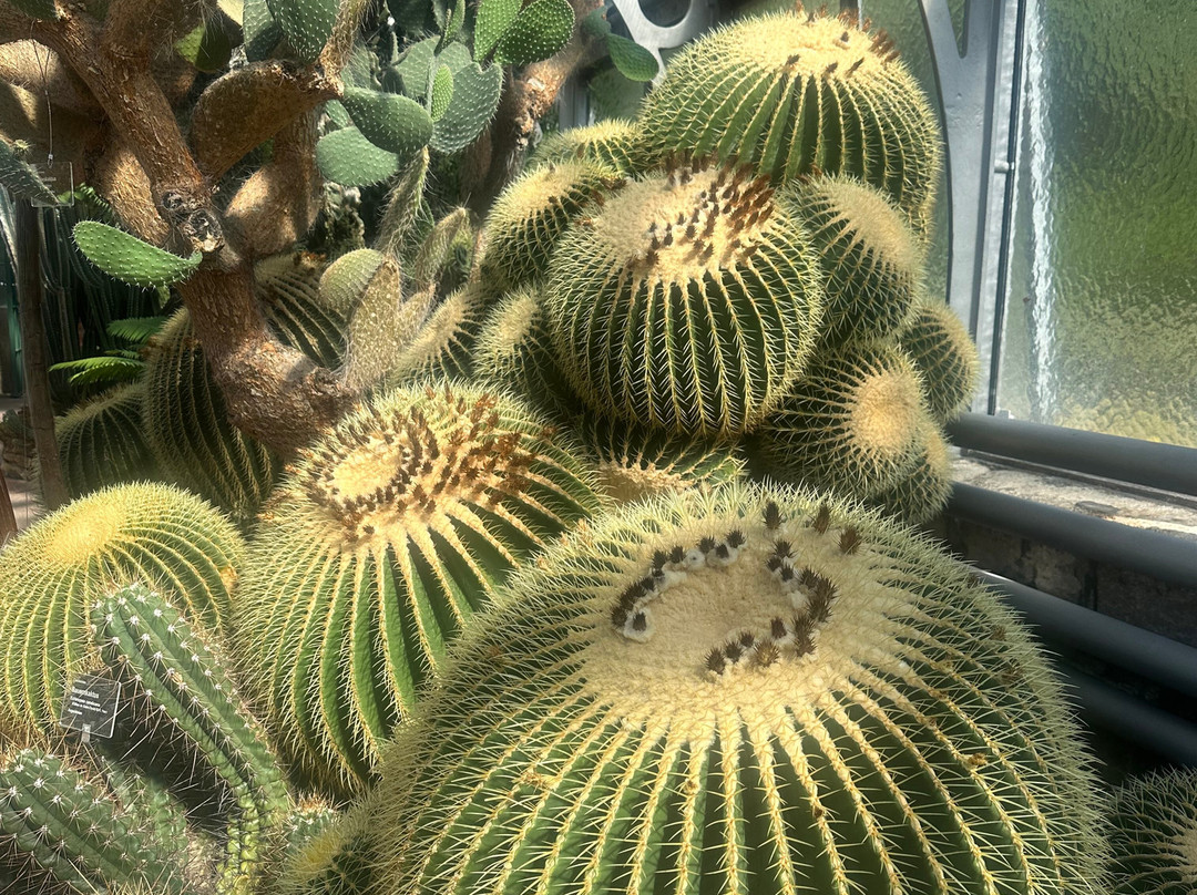 威廉玛动植物园-斯图加特必去景点