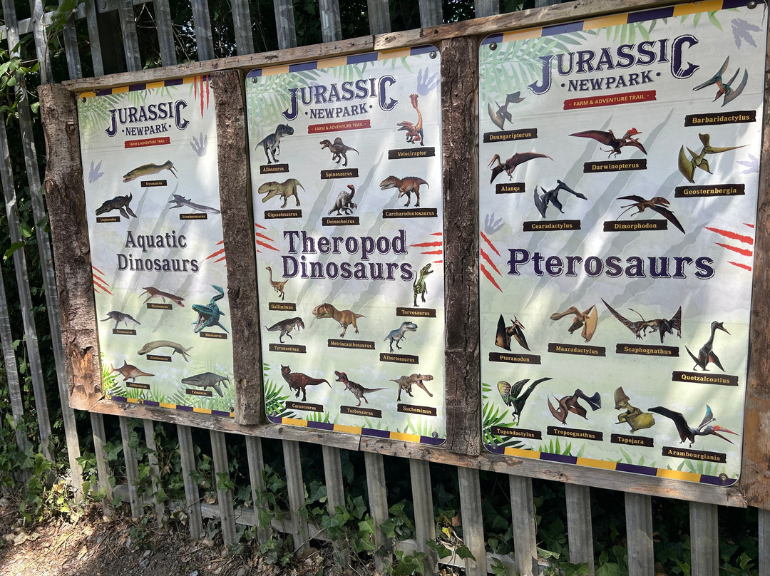 Jurassic Newpark-基尔肯尼必去景点