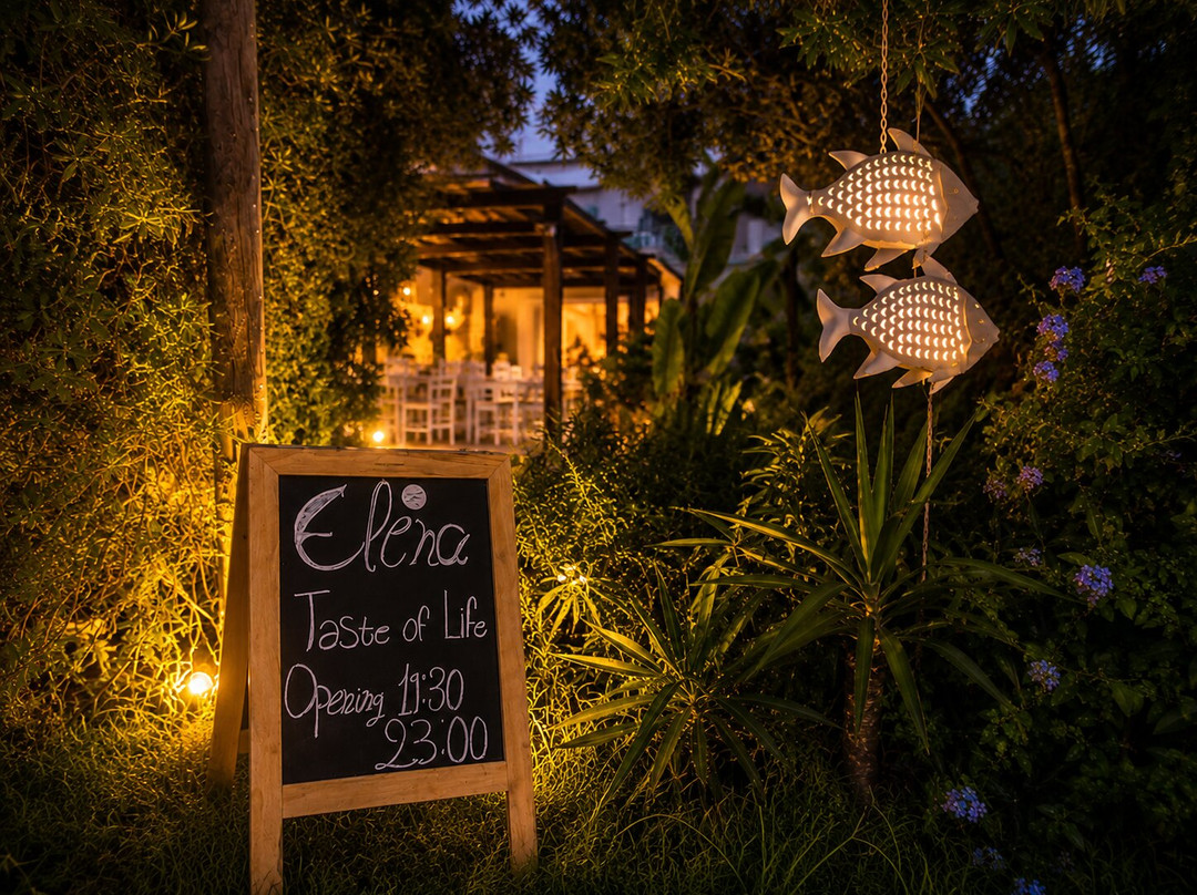 Elena Taste Of Life Restaurant