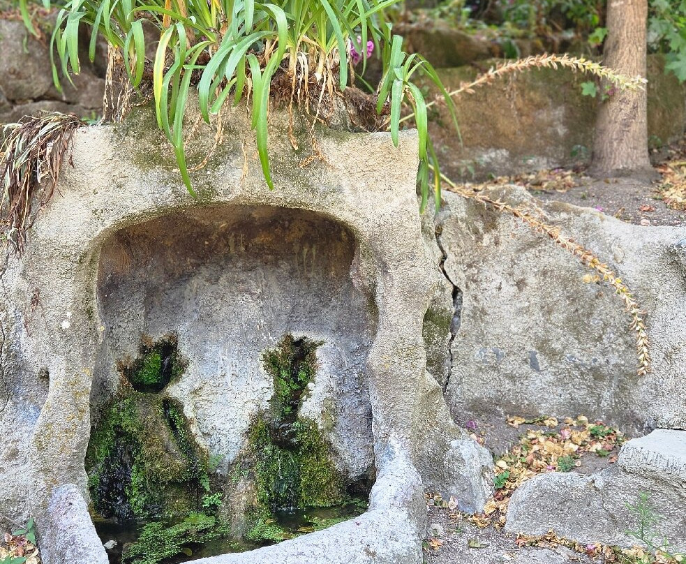 Parque Infante D. Pedro-阿威罗必去景点