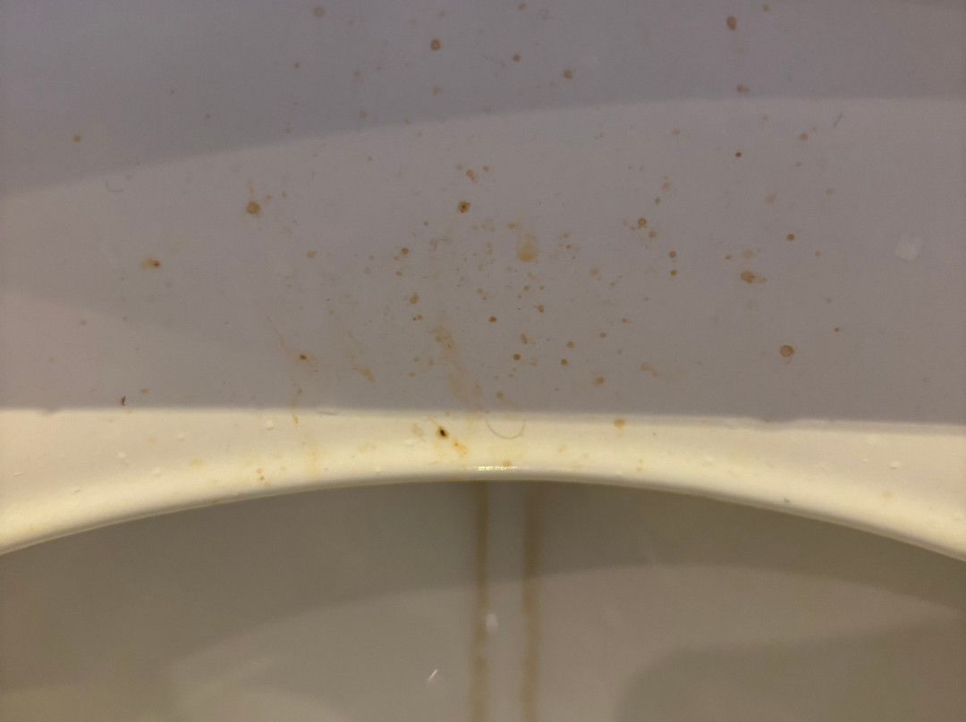 麦克唐纳康普利特安格勒酒店主图