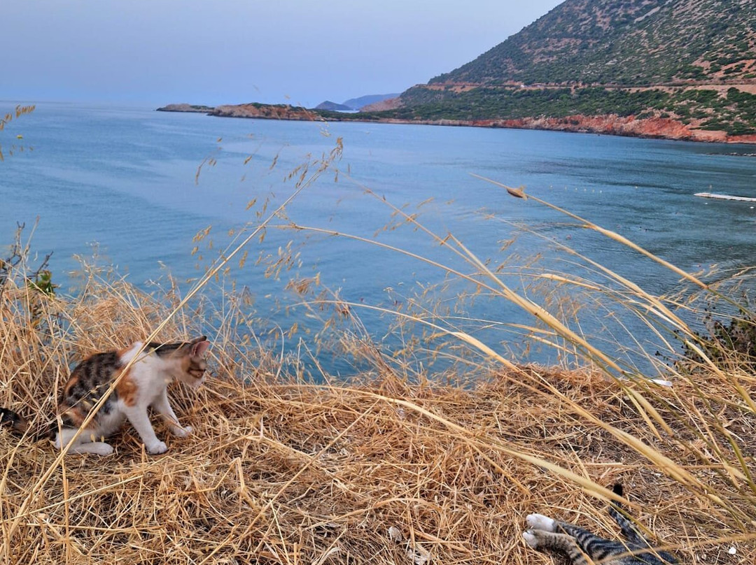 希达斯花园公寓式酒店主图