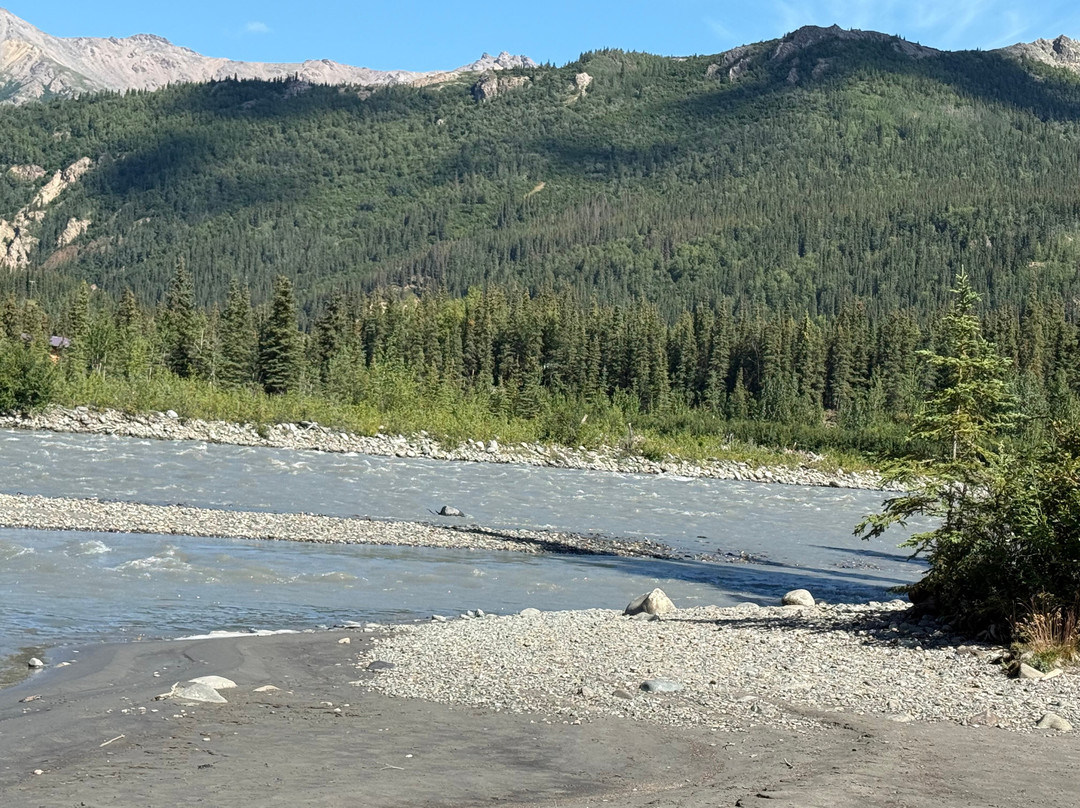 Denali National Park-阿拉斯加必去景点