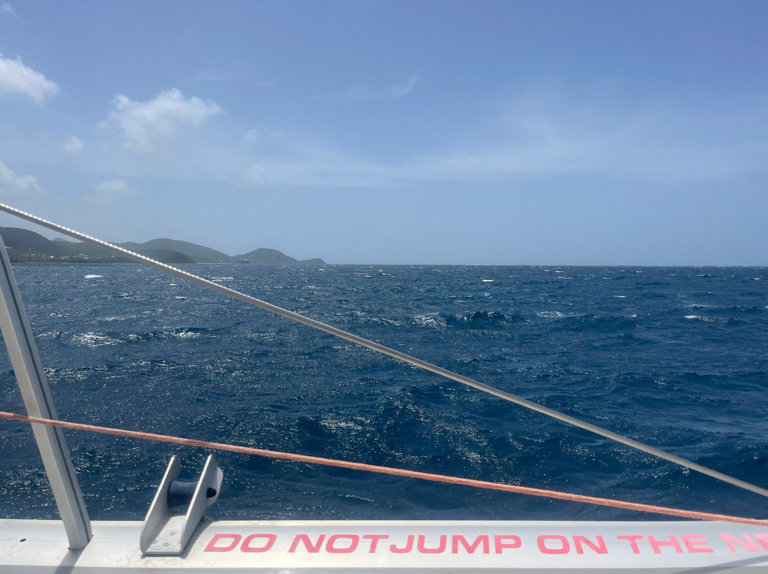 Catch The Cat - Private Sailing Charters-Jolly Harbour必去景点