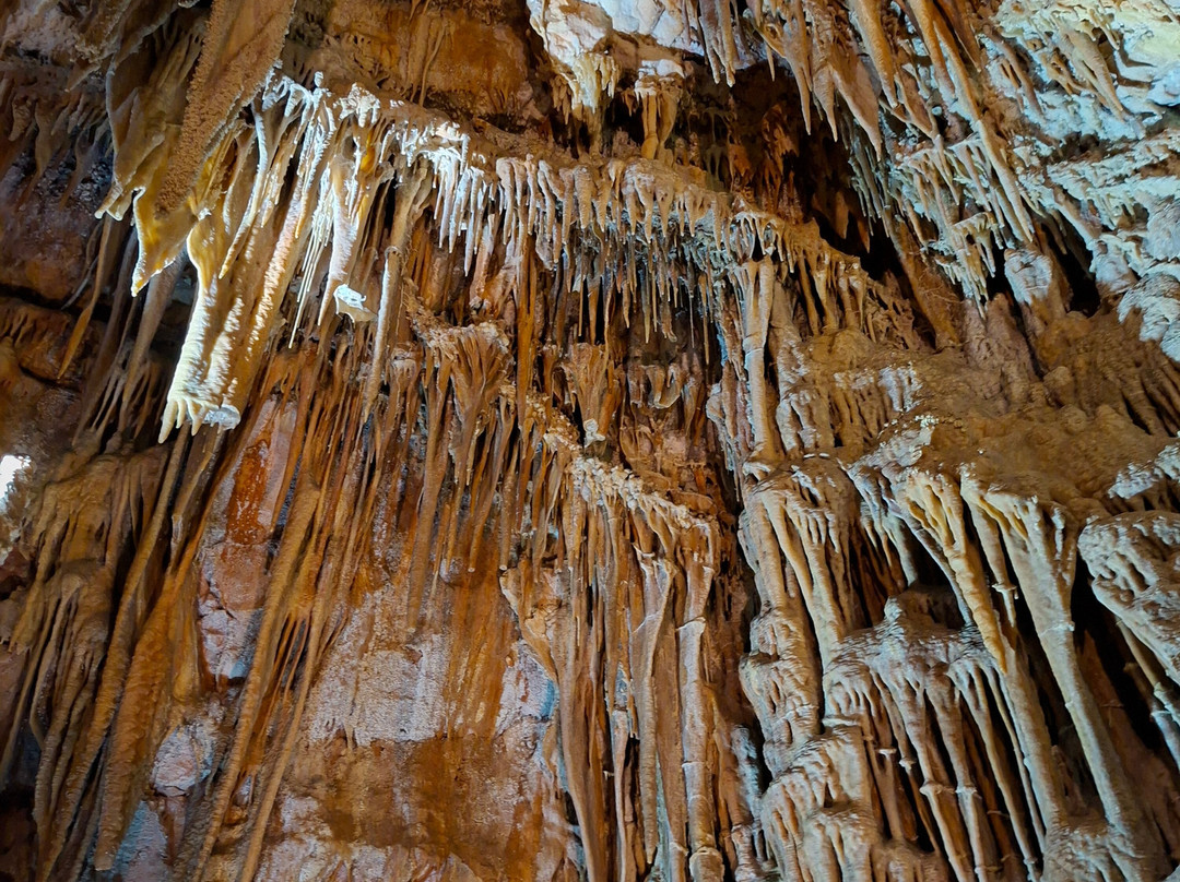 Grotta del Trullo-Putignano必去景点