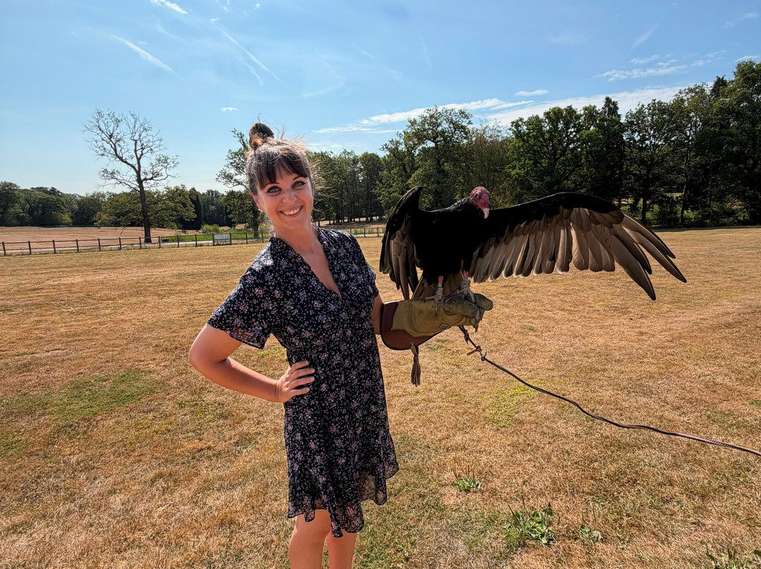 Surrey Hills Falconry-Ockley必去景点