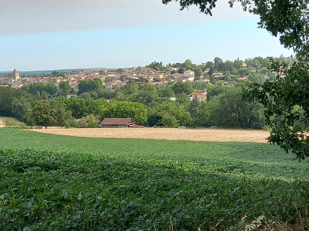 Relais Du Moulin Neuf主图