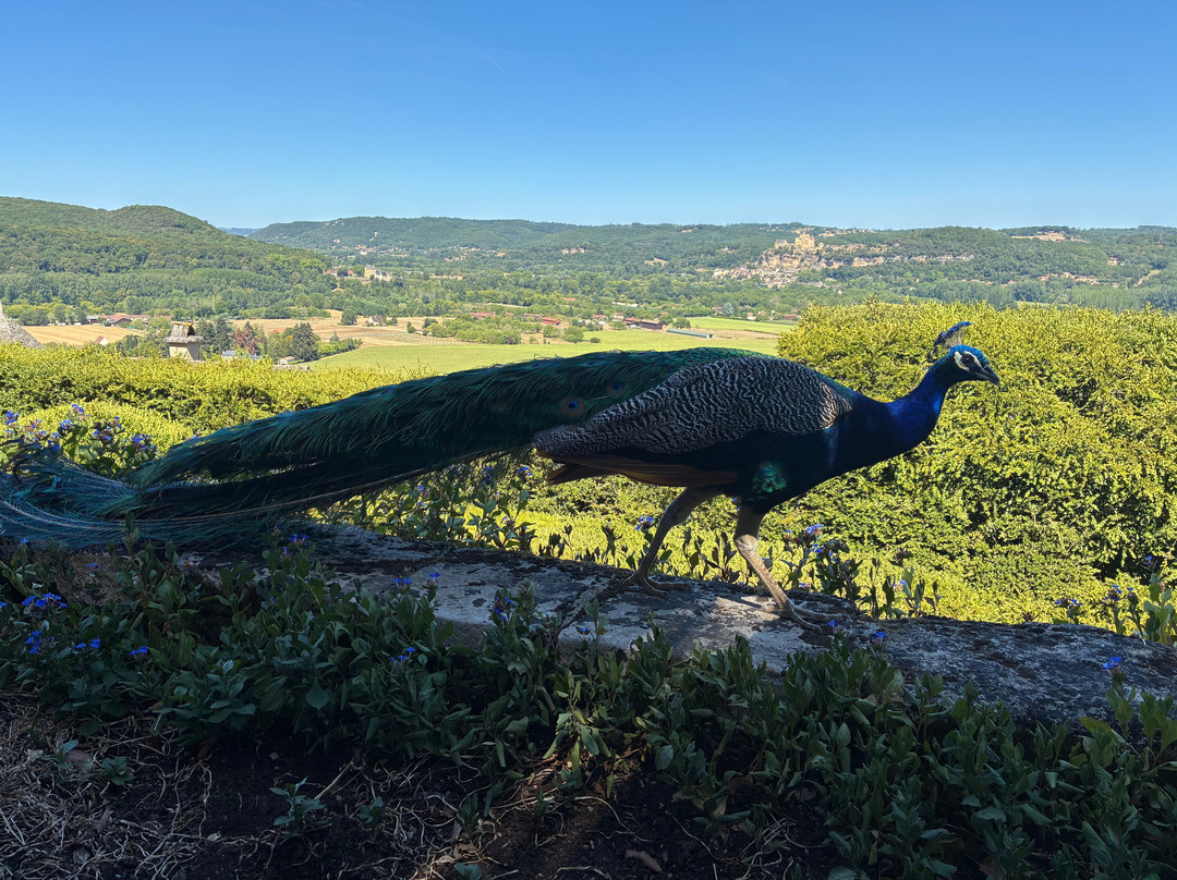 Restaurant et Salon de Thé des Jardins de Marqueyssac