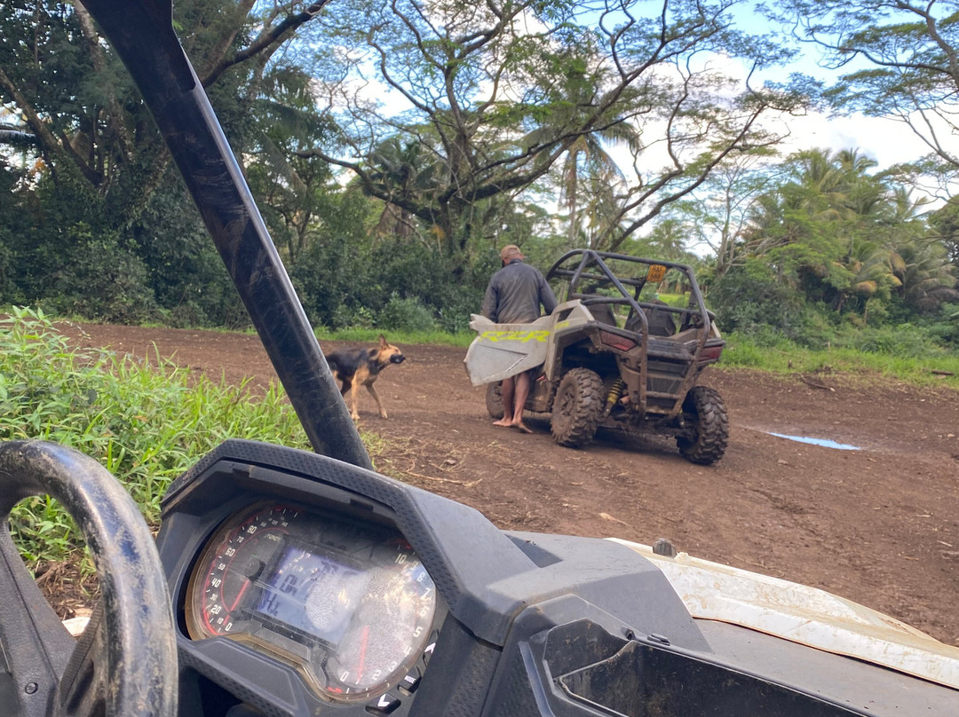 Raro Buggy Tours-穆里必去景点